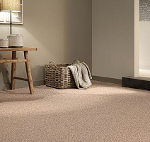 AW Stainguard Harvest